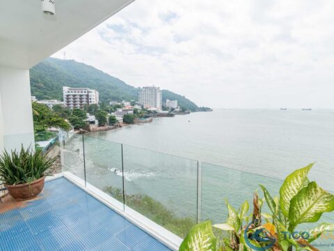 Ảnh đại diện Villa Blue Sapphire Resort Vũng Tàu - TICO 22 - P21